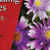 Scotch Thermal Laminating Pouches, 9 Inches x 11.4 Inches, 20 Pouches