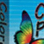 LIFEPAC - CP5010 Color Phonics CD-ROM
