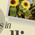 Weaver - WSS02 Level 2 (Grade 3)