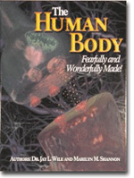 The Human Body - Fearfully and Wonderfully Made