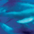 Marine Biology, Exploring Creation With - Textbook Only
