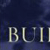 Building Leaders