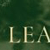 Leading Leaders: Empowering Church Boards for Ministry Excellence