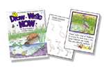 Draw Write Now Book 6