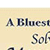 Bluestocking Guide: Solving the Money Mystery