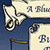 Bluestocking Guide: Building a Personal Model for Success
