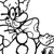Math 1 Spring into Action Activity Book Answer Key