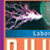 Physics 12 Lab Manual Teachers Edition (2nd ed.)