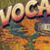 Vocabulary Teachers Edition, Level B (2nd ed.)