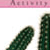 Science 4 Student Activity Manual Answer Key (3rd ed.)