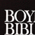 Boyds Bible Dictionary