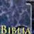 RVR 1960/KJV Bilingual Bible (Black HC)