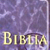 RVR 1960/KJV Bilingual Bible (Black)