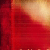 Every Day with Jesus Bible, Holman CSB (Paperback)