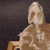 Turtle Skeleton on Finished Wooden Base with Transparent Cover
