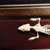 Lizard Skeleton on Finished Wooden Base with Transparent Cover