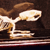 Rat Skeleton on Finished Wooden Base with Transparent Cover
