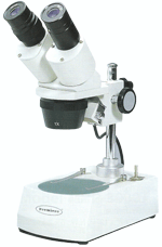 1X and 3X Objective Stereo Microscope