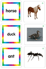 Animals, Animal Babies, and Their Habitats Learning Cards