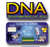 DNA