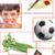 Building Essential Vocabulary 