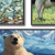 Favorite Animals 