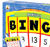 Addition: BINGO