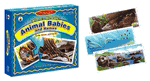 Wheres My Baby? Animal Babies and Homes