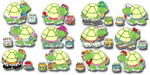 Birthday Turtles