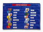 Extra-Wide Pocket Chart
