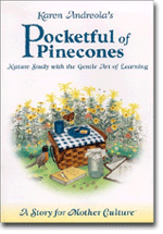 Pocketful of Pinecones