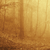 Finding God in the Darkness