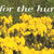 When the Thornbush Blooms