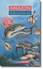 Amazon Adventures