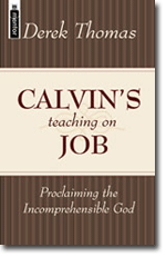 Calvins teaching on Job