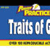 Power Practice Traits of Good Writing Gr. 2-3