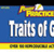 Power Practice Traits of Good Writing Gr. 4-5