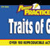 Power Practice Traits of Good Writing Gr. 6-8