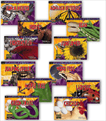 Life Cycles, Variety Pack