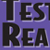Test Ready Language Arts Book 4 Student Book