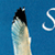 Sea Gulls CD