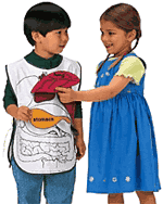 Anatomy Apron