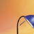 Solar Science