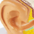 Middle Ear