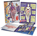 GeoSafari Human Body Undercover