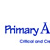 Primary Analogies 2 - Teachers Guide