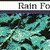 Rain Forest Photo Fun Activities