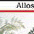 Dinosaurs Photo Fun Activities