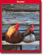 Farm Animals Photo Fun Activities