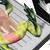 Simulated Frog Dissection Kit